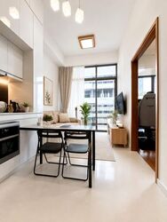 Spottiswoode Residences (D2), Condominium #586665011